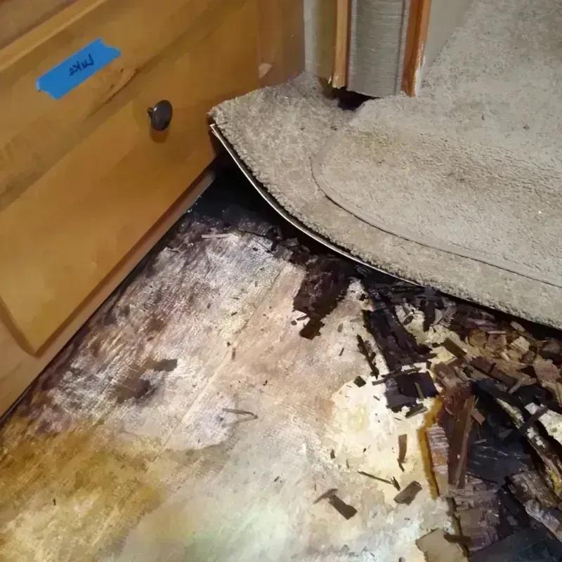 Wood Floor Water Damage in Saint Charles, MO